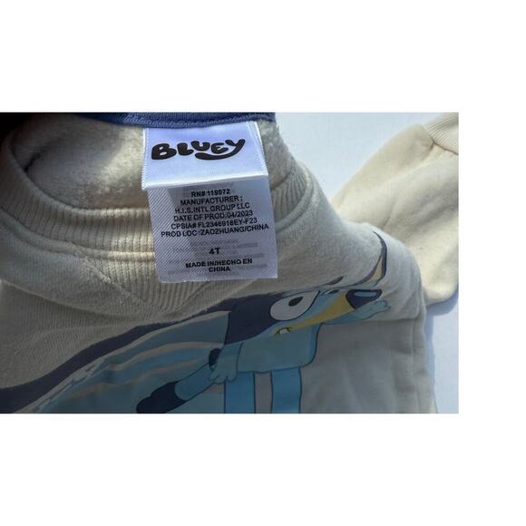 Kids Bluey Sweatshirt 4T - Picture 2 of 3